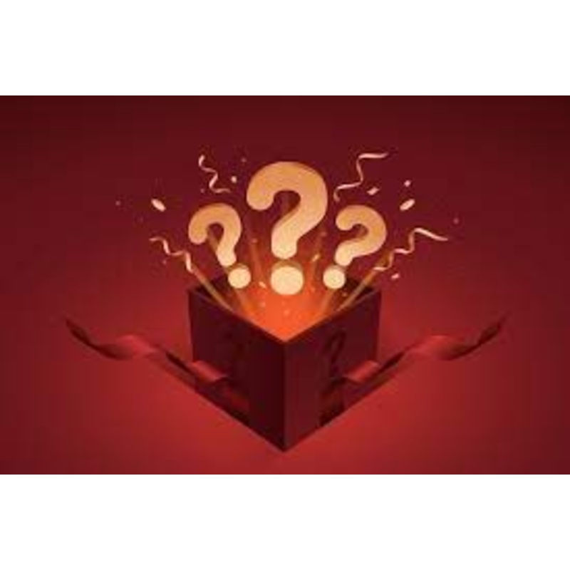 Ultimate Mystery Beer 24 Pack (12/16oz Cans)