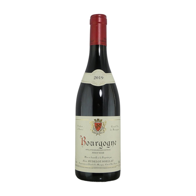 Alain Hudelot-Noellat Bourgogne - 2019 (750ml)
